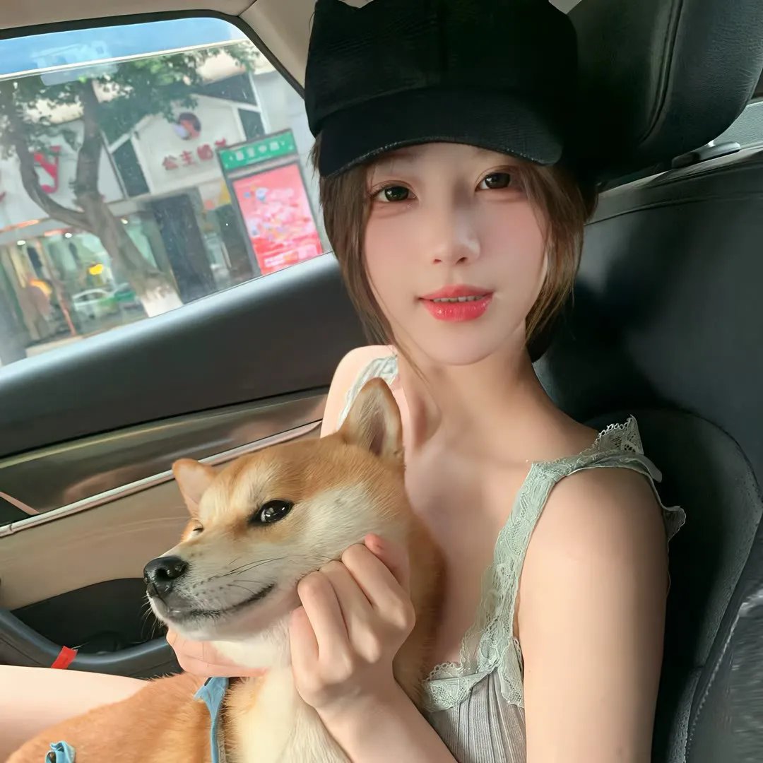 重生退婚妻第二季