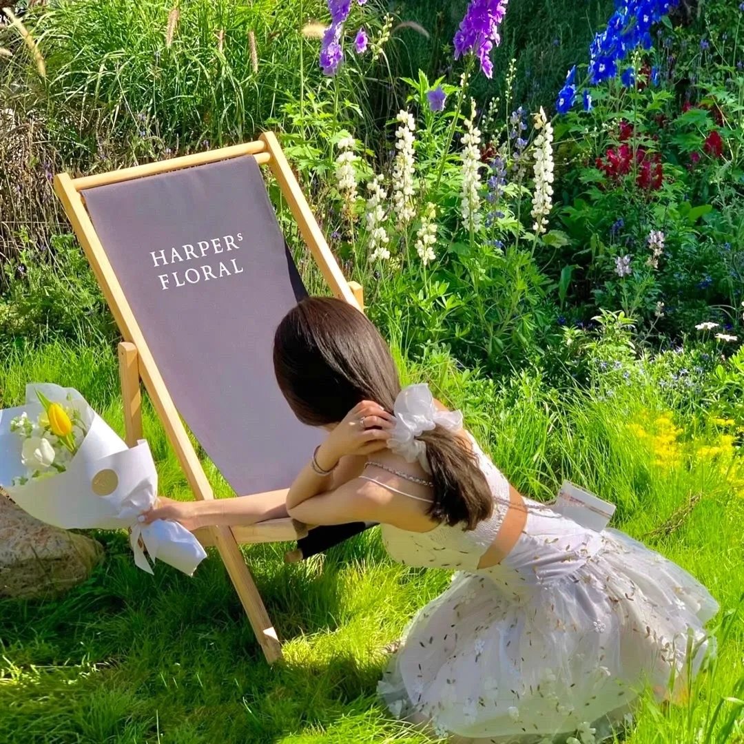 夏有乔木 雅望天堂2024